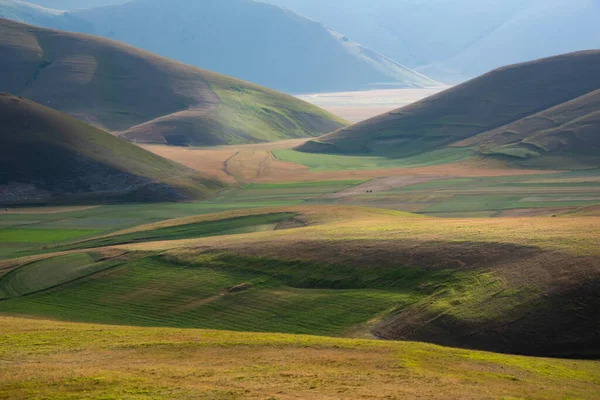 Красивая Долина Зелеными Сельскохозяйственными Полями Летом — стоковое фото