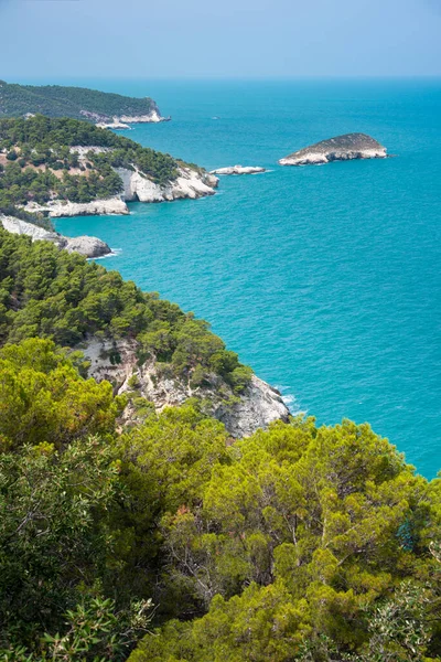 Yazın kayalık kıyıları olan güzel bir deniz.