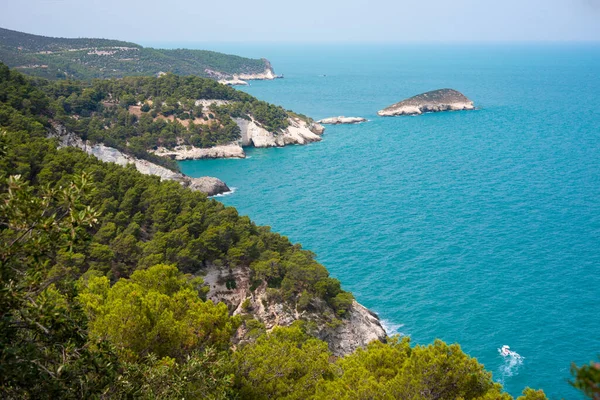 Yazın kayalık kıyıları olan güzel bir deniz.