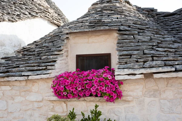 Hermosa Vista Antigua Casa Con Flores — Foto de Stock