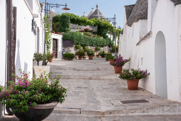 Casas Típicas Trulli Con Flores Alberobello Región Apulia Italia — Foto de Stock