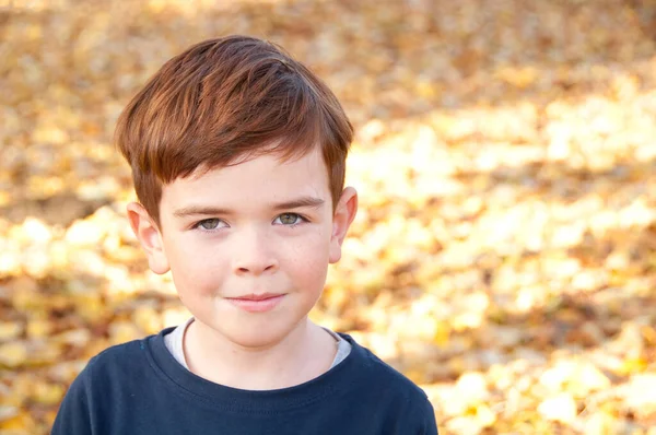 Portrait Garçon Dans Parc — Photo