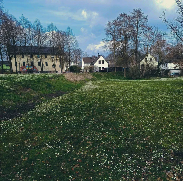 Μικρά Σπίτια Ορατά Στο Πάρκο Πράσινο Γρασίδι Στη Γερμανία — Φωτογραφία Αρχείου