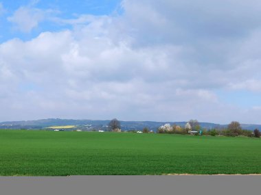 Şehirde açık alan. Elektrik hatları olan tarlalar..