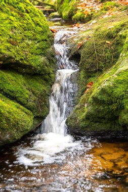 Small waterfall that falls into stream between moss-covered stones, creating foam.