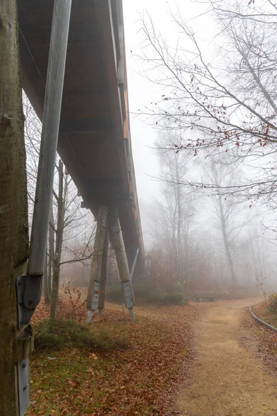 Будівництво Стежки Дереві Баварському Лісі Тумані Землі — стокове фото