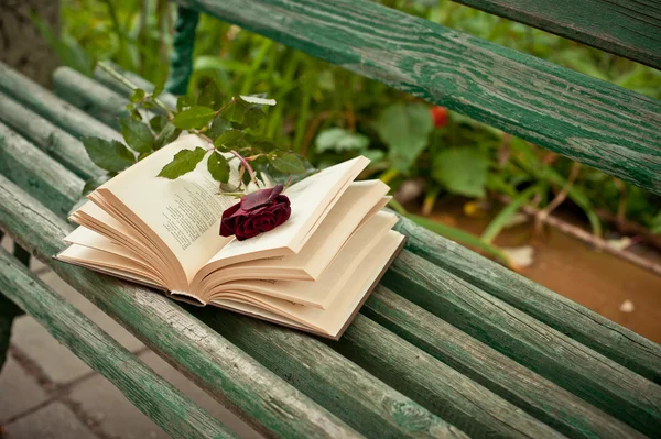 Das Buch über einen Laden — Stockfoto