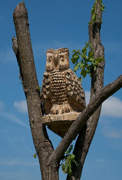 Wooden owl — Stock Photo, Image