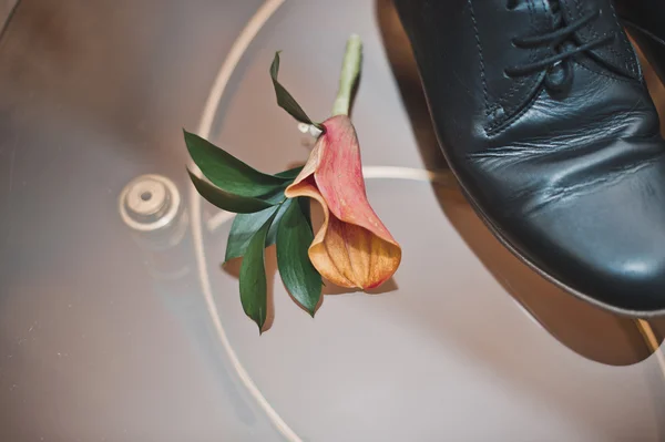 Stiefel und Blume. — Stockfoto