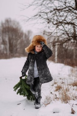 Çocuk, Noel için evi süslemesi için ormanda bir Noel ağacı aldı..