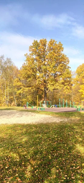 Herbstliche Waldwege Russland — Stockfoto