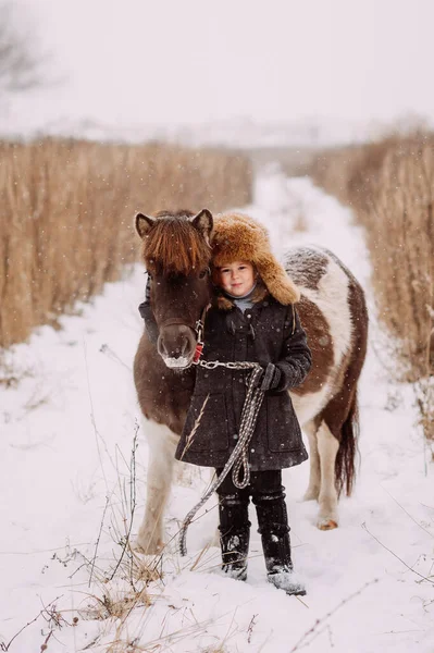 Une Histoire Amusante Hiver Une Fille Poney — Photo