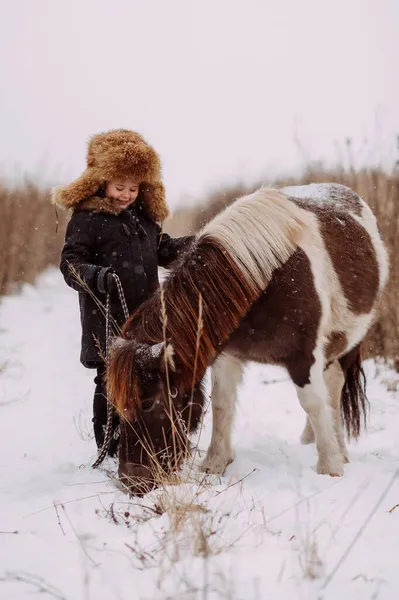 Poney Bicolore Enfant Marchent Dans Champ Neigeux — Photo