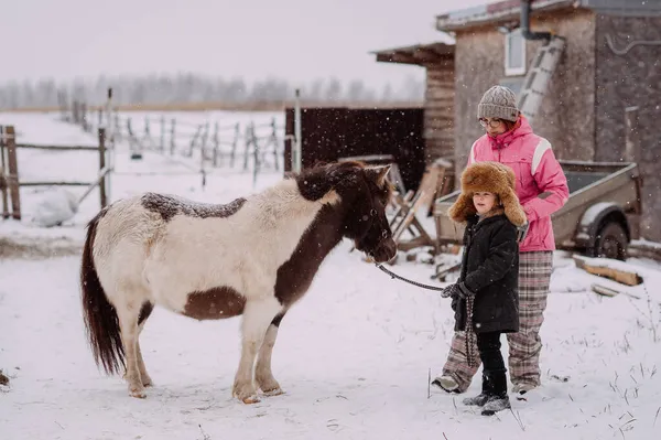 女の子とポニーの楽しい冬の物語 — ストック写真