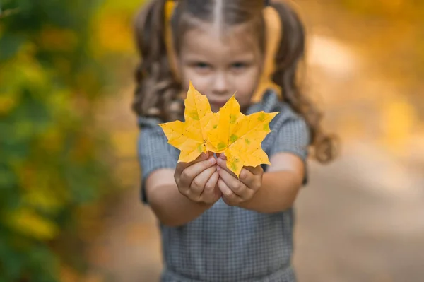 Ein Kind Wirft Herbstblätter — Stockfoto