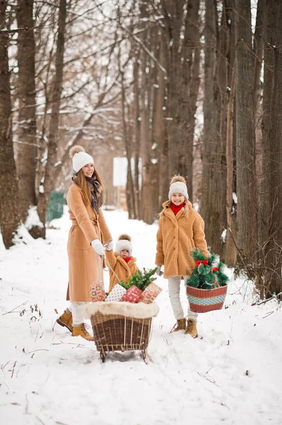 Yılbaşı balonlarla süslenmiş bir Noel ağacının arka planında, kış ormanlarında kızakla kayıyor..