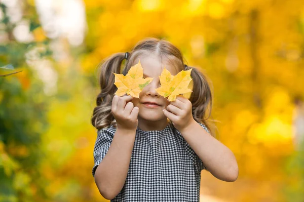 Eine Kleine Tochter Spielt Park Mit Herbstlaub — Stockfoto