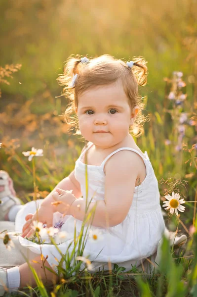 Una Niña Está Jugando Campo Con Dientes León — Foto de Stock