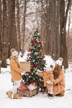 Yeni yıl kartpostalları, aile fotoğrafı ve doğada bir Noel ağacı..