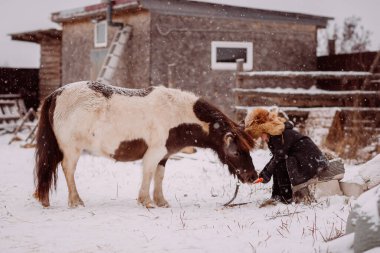 Bir kız midilliyi besliyor ahırda havuç.