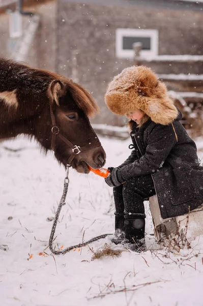 Une Fille Nourrit Poney Une Carotte Dans Écurie — Photo