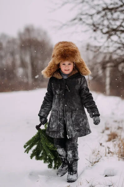 Enfant Dans Neige Ramène Sapin Noël Forêt — Photo