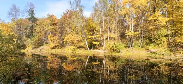 Μια Μικρή Λίμνη Που Συνορεύει Ένα Φθινοπωρινό Δάσος — Φωτογραφία Αρχείου