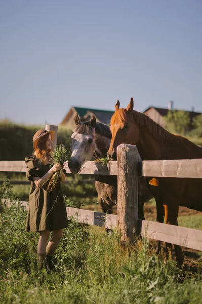 赤い毛のストロークと馬に草を供給する女の子 — ストック写真