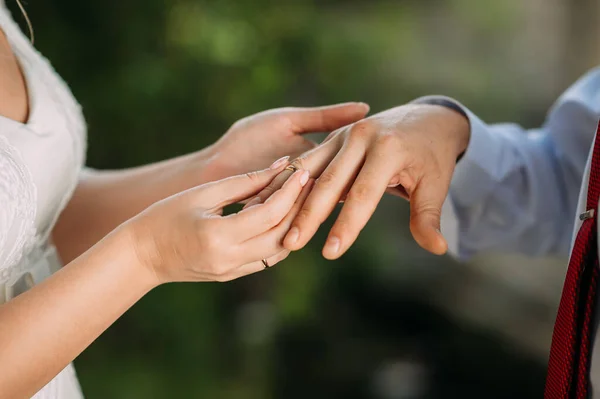 Palms Newlyweds Gently Embrace Each Other — Stock Photo, Image