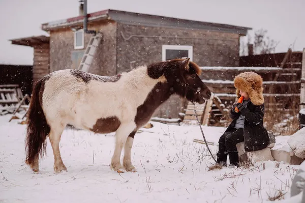 Una Chica Alimenta Pony Con Una Zanahoria Establo — Foto de Stock