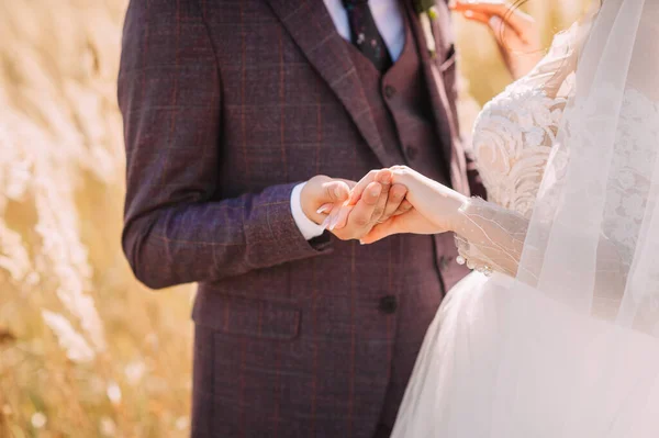 Bride Groom Walking Wheat Field Summer — Stock Photo, Image