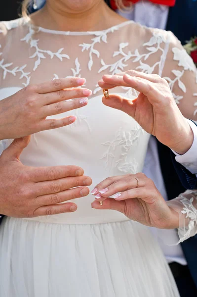 Newlyweds Wear Wedding Rings Each Other Same Time — Stock Photo, Image