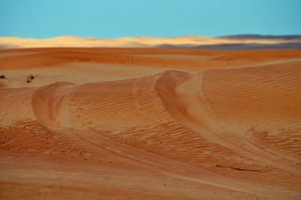 Desert in de zon — Stockfoto