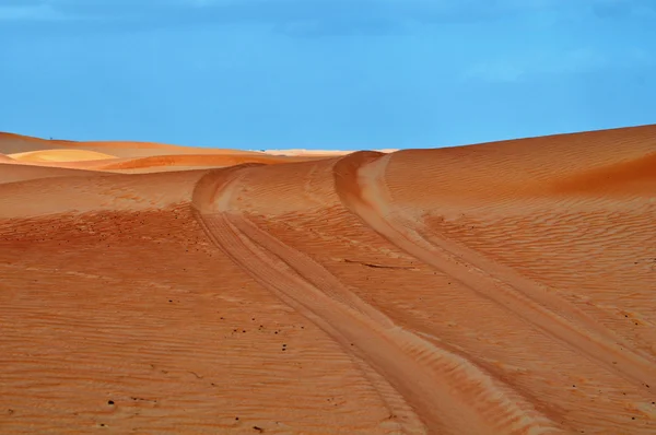 A nap-sivatagban — Stock Fotó