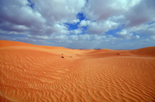Wunderschöne Wüste — Stockfoto