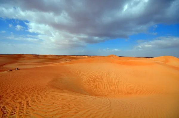 Hermoso desierto — Foto de Stock