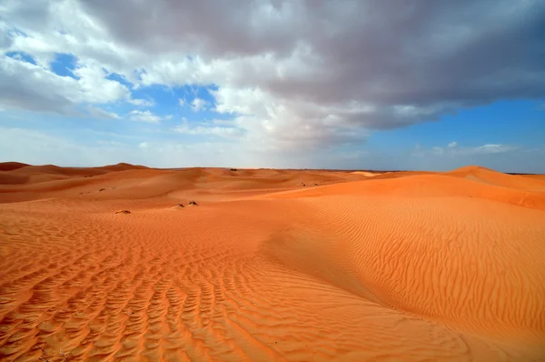 Όμορφη έρημο — Φωτογραφία Αρχείου