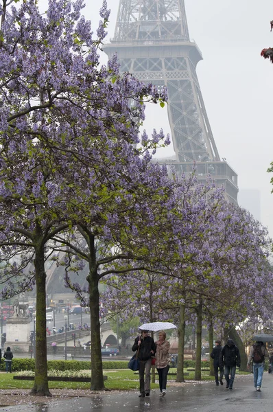 Giornata piovosa a Parigi — Foto Stock