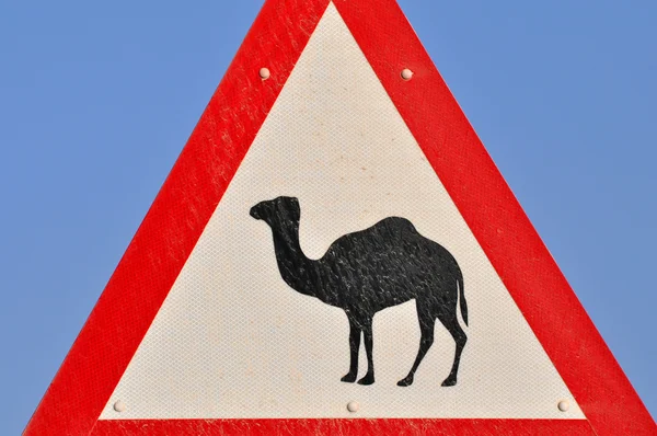 Sinal de camelo — Fotografia de Stock