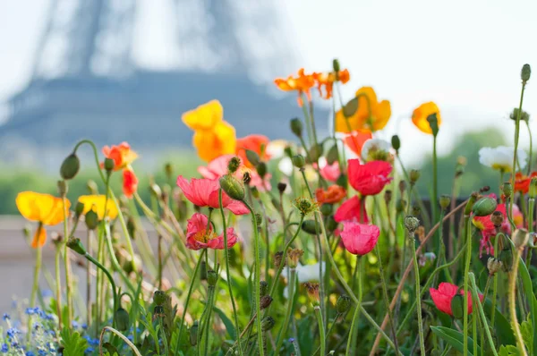 Belle journée d'été à Paris — Photo