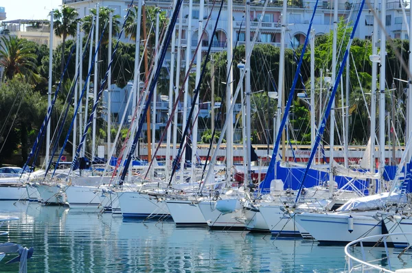 Beautiful yachts on a sparkling blue sea — Stock Photo, Image