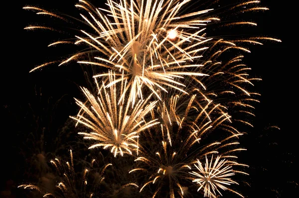 Fireworks in the night sky — Stock Photo, Image