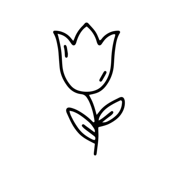 Illustration Vectorielle Linéaire Avec Une Tulipe Style Dessin Animé Illustration — Image vectorielle