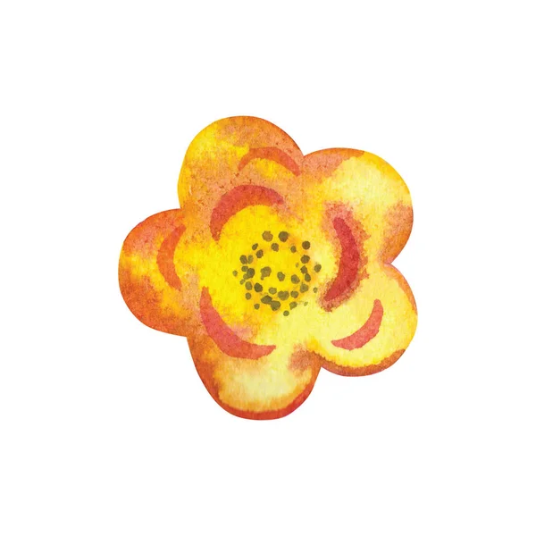 Illustration Une Fleur Aquarelle Lumineuse Sur Fond Blanc Illustration Botanique — Photo