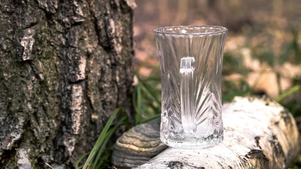 Glass Background Forest Which Collects Birch Sap Harvesting Birch Sap — Stock Photo, Image