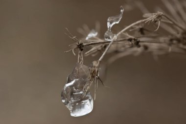 Fabrikaya buz damlaları düşüyor.