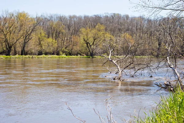 Paisaje Primaveral Del Río Wapsipinicon Iowa — Foto de Stock