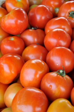 taze domates