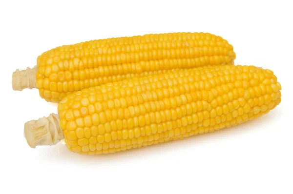 Two corn cobs isolated on the white — Stock Photo, Image