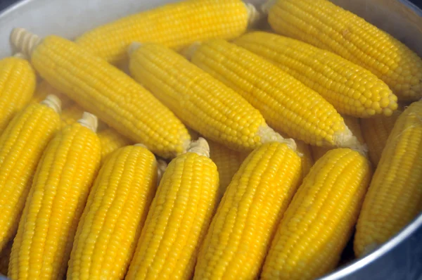 Corn boiling in pot — Stock Photo, Image